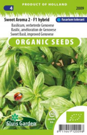 Basilicum 'Sweet Aroma 2 F1', Ocimum basilicum Biologisch
