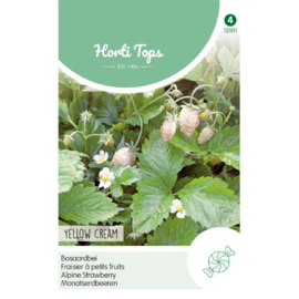 Aardbei bosaardbei wit 'Yellow Cream', Fragaria vesca