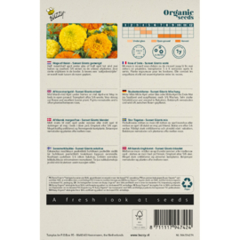 Tagetes erecta 'Sunset Giants Mixed', Afrikaantje