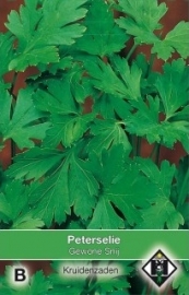 Peterselie Amsterdamse snij, Petroselinum crispum