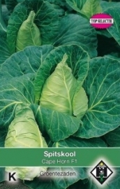 Spitskool 'Cape Horn F1', Brassica oloeracea var. alba