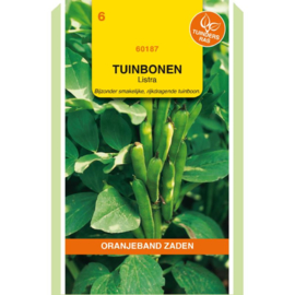 Tuinboon witkokend 'Listra', Vicia faba