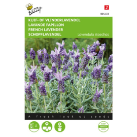 Lavendula stoechas, Kuif- of vlinderlavendel