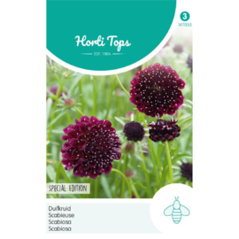 Scabiosa atropurpurea diep donkerpaars / 'Black Knight', Duifkruid