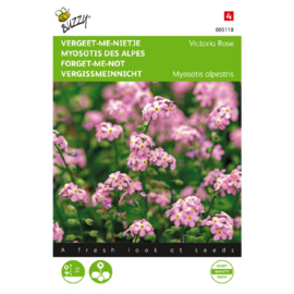 Myosotris alpestris 'Victoria Rose', Vergeet-me-nietje