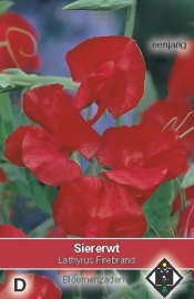 Lathyrus odoratus 'Firebrand', Siererwt