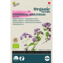 Wilde Marjolein 'Oregano', Origanum vulgare Biologisch