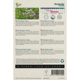 Wilde Marjolein 'Oregano', Origanum vulgare Biologisch