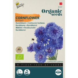 Centaurea cyanus 'Blue Ball', Korenbloem