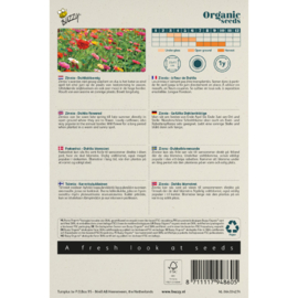 Zinnia elegans 'Dahlia Flowered', Zinnia Biologisch