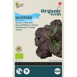 Mosterd 'Red Giant', Brassica juncea
