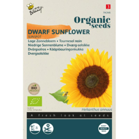 Helianthus annuus 'Sunspot', Dwerg Zonnebloem Biologisch