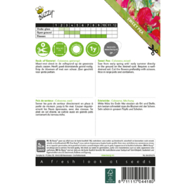 Lathyrus odoratus 'Colorama Mix', Reukerwt
