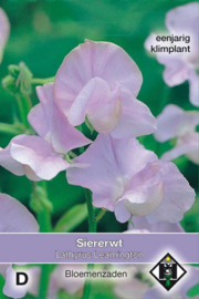 Lathyrus odoratus 'Leamington', Siererwt(voorlopig niet leverbaar)