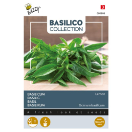 Basilicum citroen 'Lemon', Ocimum citriodorum