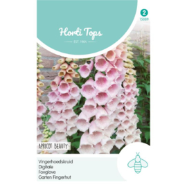 Digitalis purpurea 'Apricot Beauty', Vingerhoedskruid