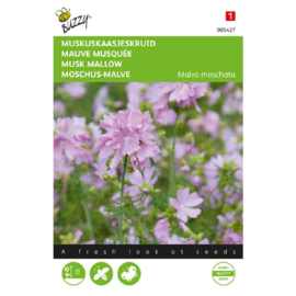 Malva moschata, Muskuskaasjeskruid