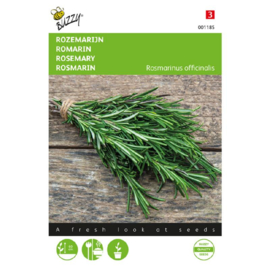 Rozemarijn, Rosmarinus officinalus