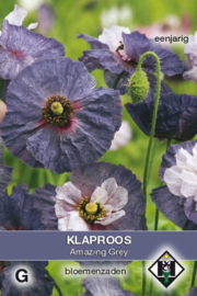 Papaver rhoeas 'Amazing Grey', Klaproos  (tijdelijk niet leverbaar)