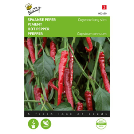 Peper spaanse 'Cayenne Long Slim', Capsicum annuum