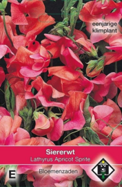 Lathyrus odoratus 'Apricot Sprite', Siererwt (voorlopig niet leverbaar)