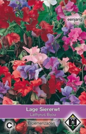 Lathyrus odoratus 'Bijou', Siererwt Dwerg