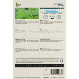 Kervel Fijne krul, Anthriscus cerefolium Biologisch