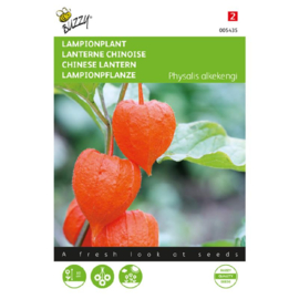 Physalis alkekengi, Lampionplant