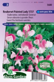 Lathyrus odoratus 'Painted Lady', Siererwt