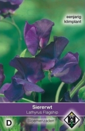 Lathyrus odoratus 'Flagship', Siererwt