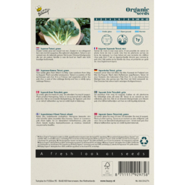 Bladkool mosterd Asia salat 'Tatsoi Green Coin', Brassica rapa var. rosularis Biologisch