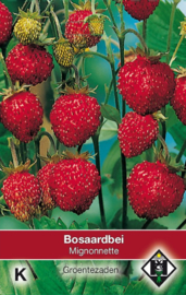 Aardbei bosaardbei 'Mignonnette', Fragaria vesca