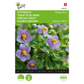 Exacum affine 'Midget Blue', Bitterblad