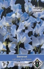 Lathyrus odoratus 'Blue Ripple', Siererwt