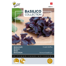 Basilicum rode 'Purple Ruffles', Ocimum basilicum