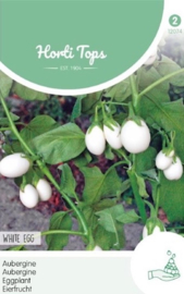 Aubergine mini 'White Eggs', Solanum melonga