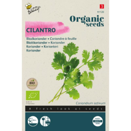 Bladkoriander, Coriandrum sativum Biologisch