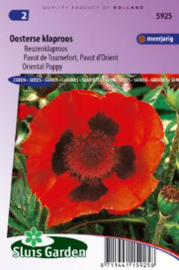 Papaver oriëntale, Oosterse klaproos of Reuzenklaproos
