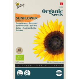 Helianthus annuus 'Nakdi F1'/'Zohar F1' Zonnebloem stuifmeelvrij Biologisch