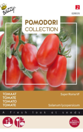 Roma tomaat 'Super Roma Vf', Solanum lycopersicum