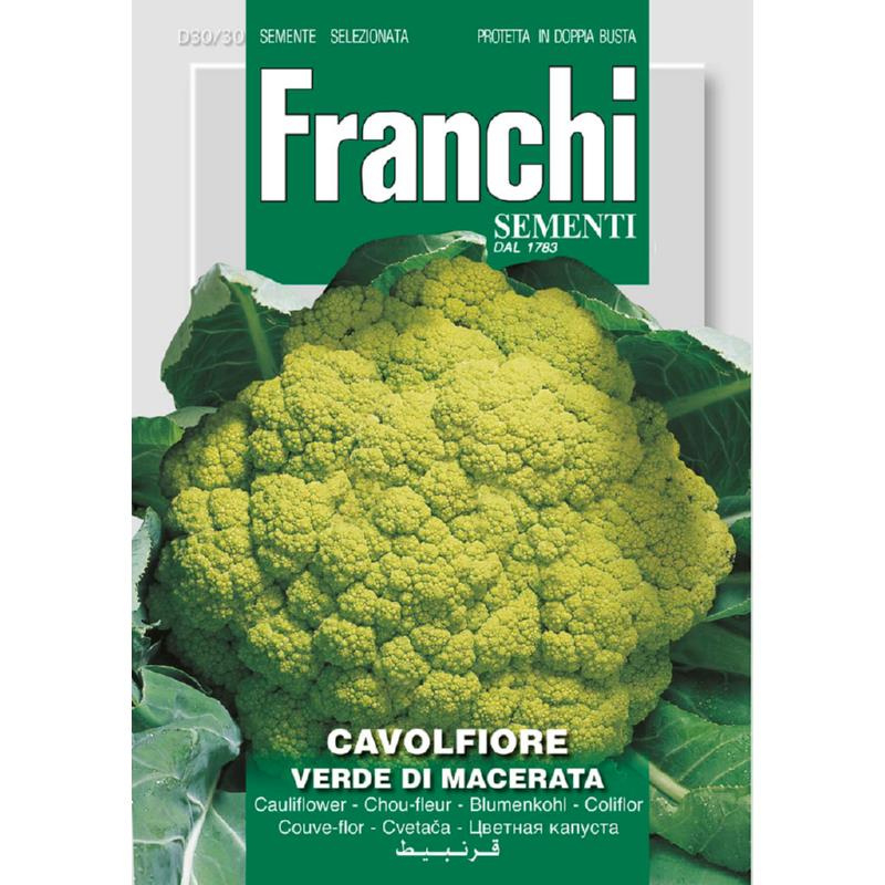 Bloemkool groen 'Verde Di Macerata', Brassica oleracea var. botrytis