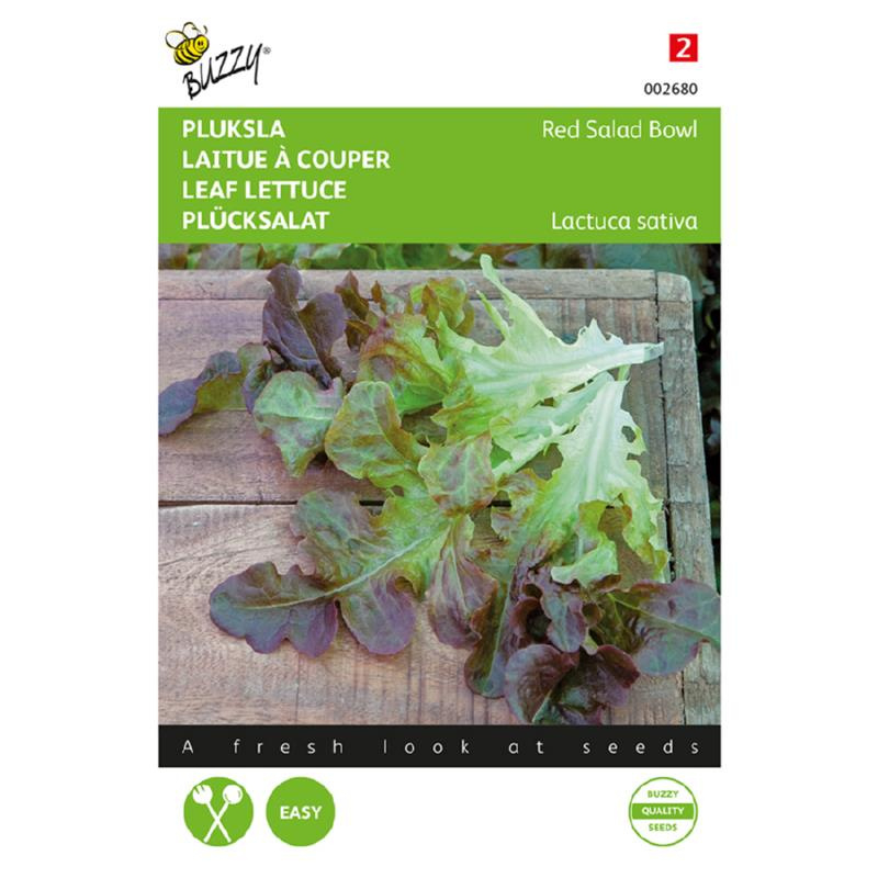 Eikenbladsla 'Red Salad Bowl', Lactuca sativa