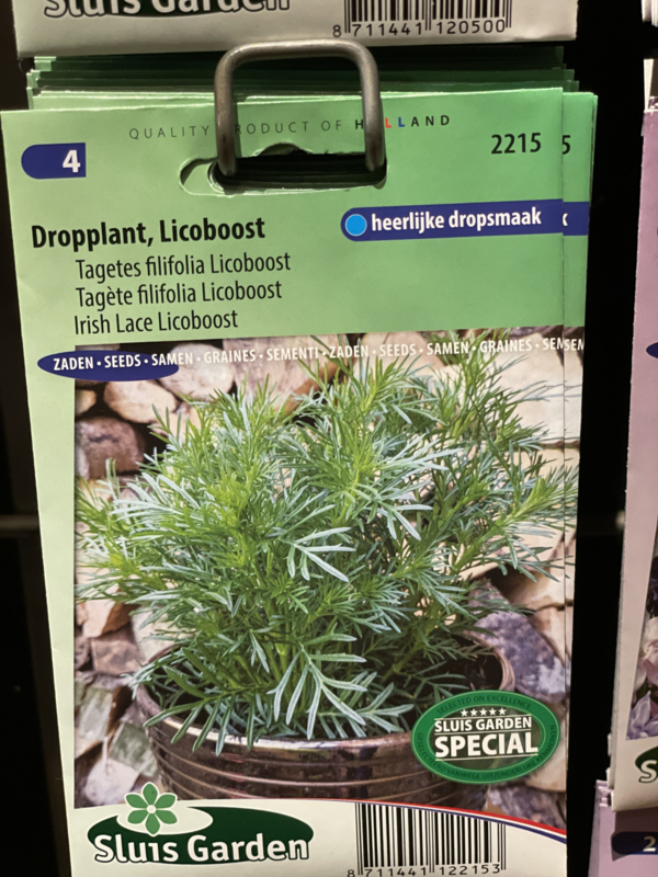 Dropplant Licoboost, Tagetes filifolia