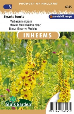 Verbascum nigrum, Zwarte Toorts