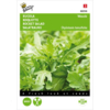 Rucola 'Wasabi', Rucola coltivata