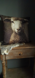 Kussen  "Little lam"