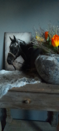 Glasplaat paard 1