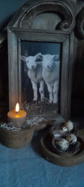Schilderij lammetjes
