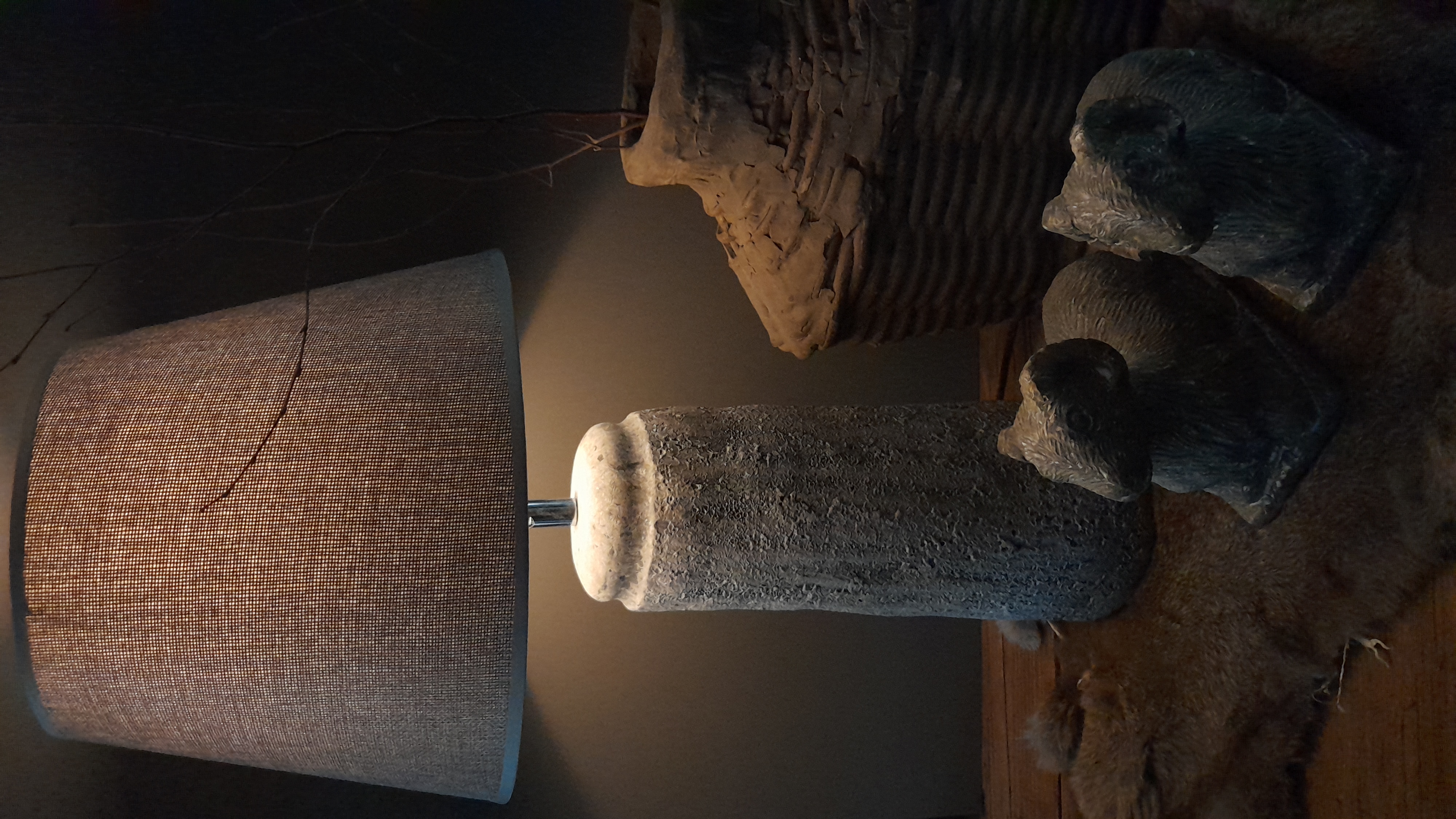 Stoere lamp met kap.