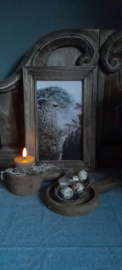 Schilderij schaap